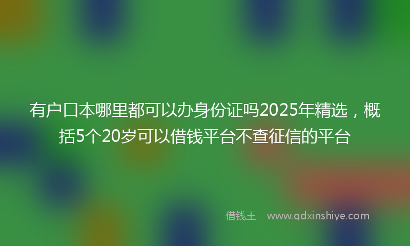 有户口本哪里都可以办身份证吗2025年精选，概括5个20岁可以借钱平台不查征信的平台