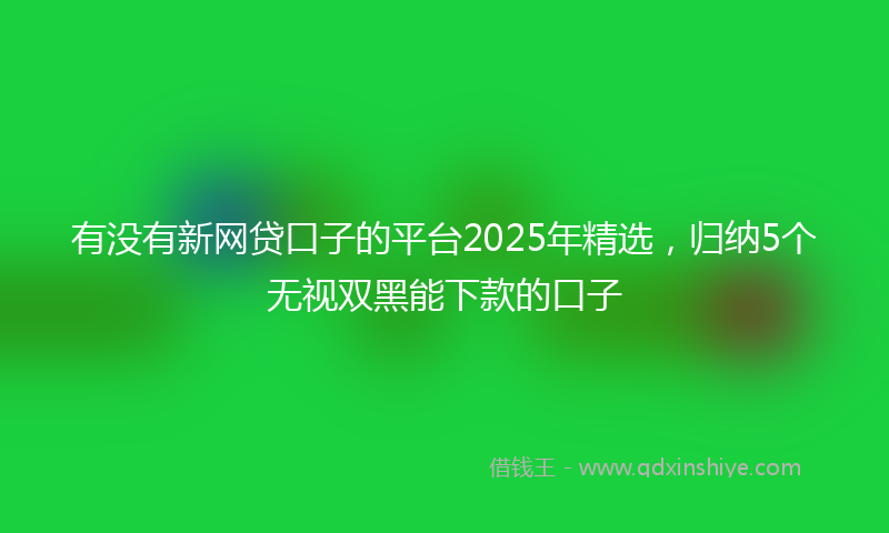 有没有新网贷口子的平台2025年精选，归纳5个无视双黑能下款的口子