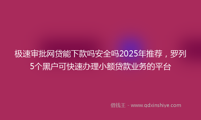极速审批网贷能下款吗安全吗2025年推荐，罗列5个黑户可快速办理小额贷款业务的平台