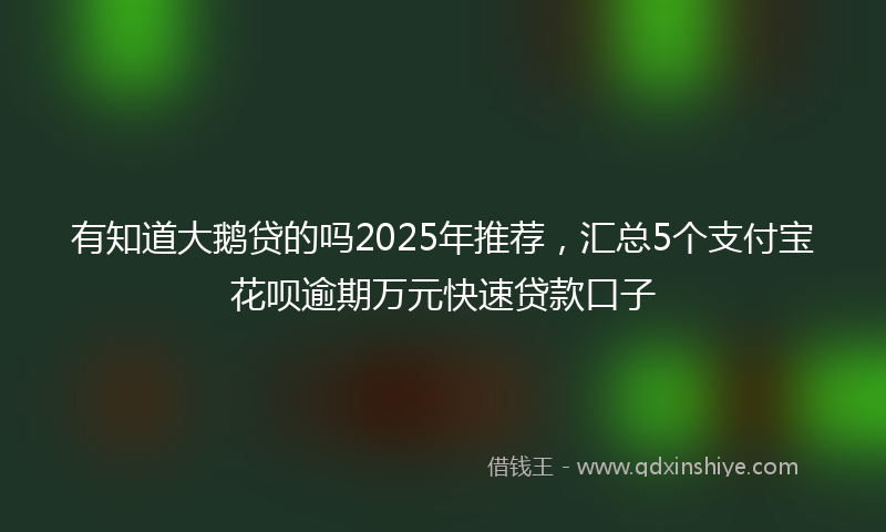 有知道大鹅贷的吗2025年推荐，汇总5个支付宝花呗逾期万元快速贷款口子