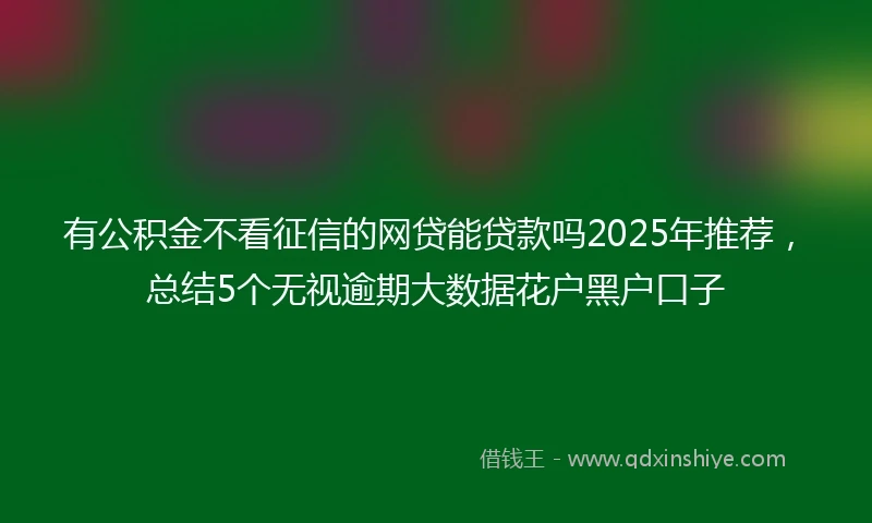 有公积金不看征信的网贷能贷款吗2025年推荐，总结5个无视逾期大数据花户黑户口子