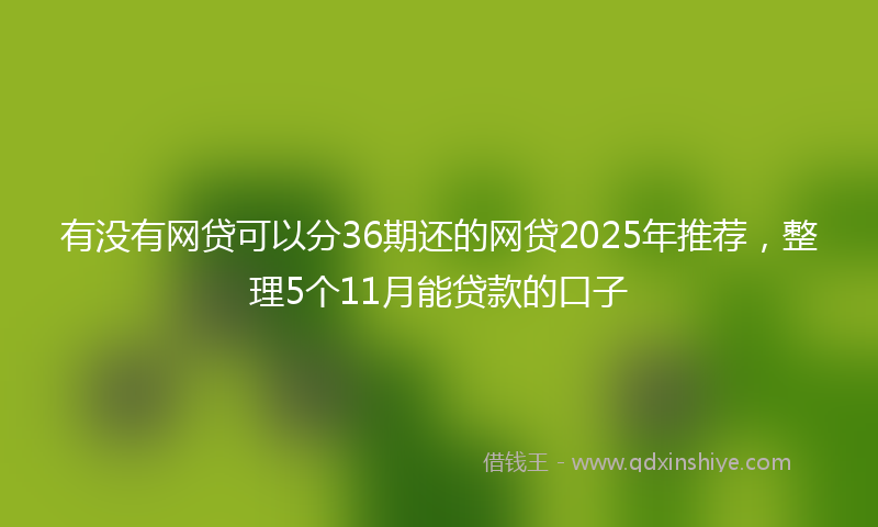 有没有网贷可以分36期还的网贷2025年推荐，整理5个11月能贷款的口子