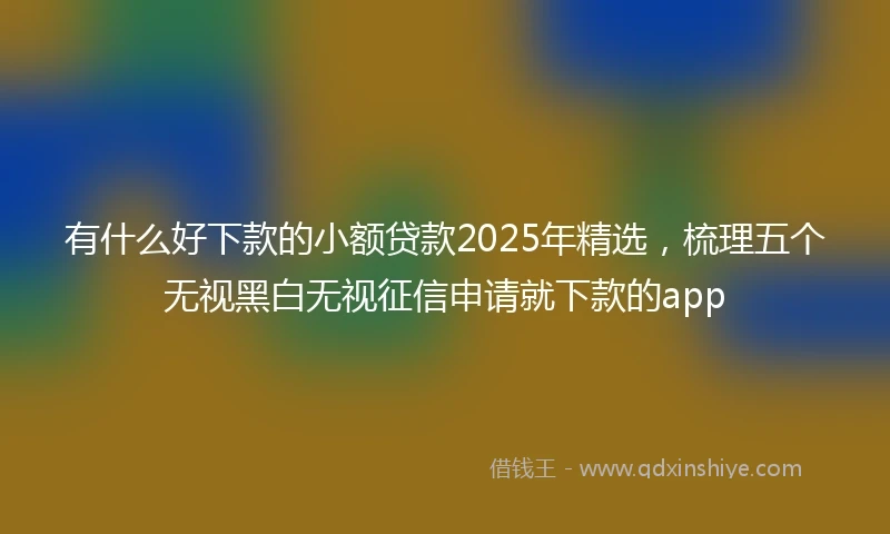有什么好下款的小额贷款2025年精选，梳理五个无视黑白无视征信申请就下款的app