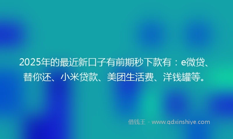 2025年的最近新口子有前期秒下款有:e微贷、替你还、小米贷款、美团生活费、洋钱罐等。
