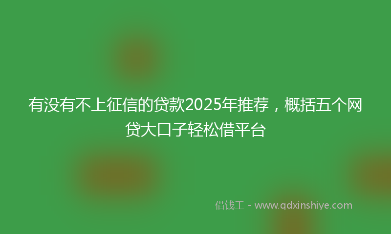 有没有不上征信的贷款2025年推荐，概括五个网贷大口子轻松借平台