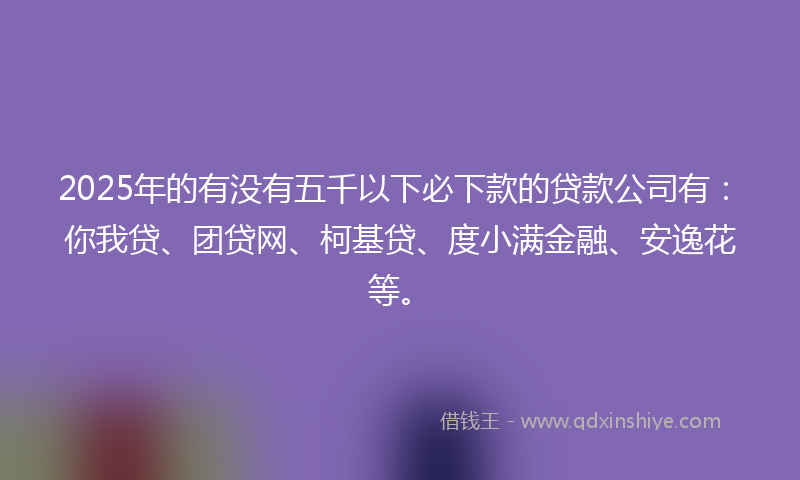 2025年的有没有五千以下必下款的贷款公司有：你我贷、团贷网、柯基贷、度小满金融、安逸花等。