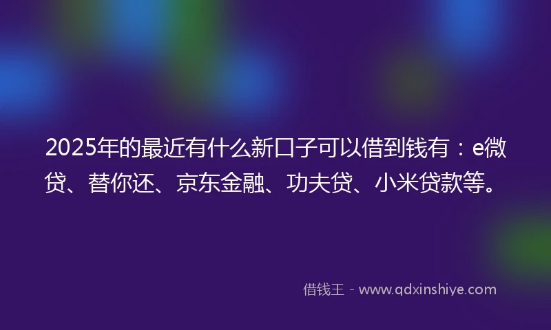 2025年的最近有什么新口子可以借到钱有：e微贷、替你还、京东金融、功夫贷、小米贷款等。