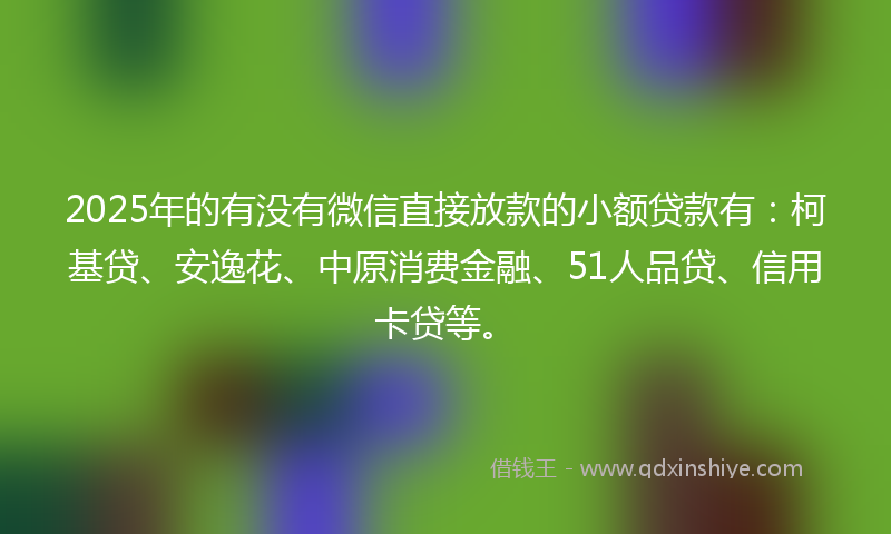 2025年的有没有微信直接放款的小额贷款有：柯基贷、安逸花、中原消费金融、51人品贷、信用卡贷等。
