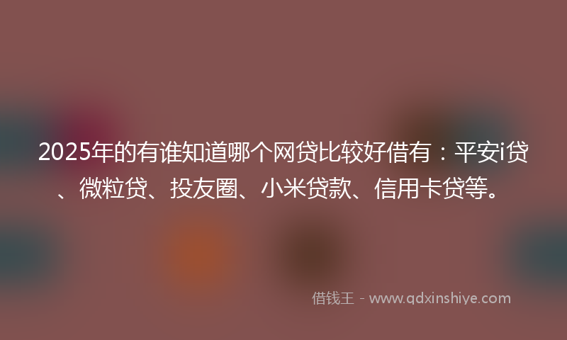 2025年的有谁知道哪个网贷比较好借有：平安i贷、微粒贷、投友圈、小米贷款、信用卡贷等。