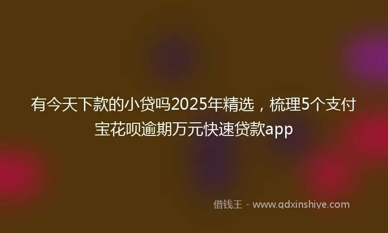 有今天下款的小贷吗2025年精选,梳理5个支付宝花呗逾期万元快速贷款app
