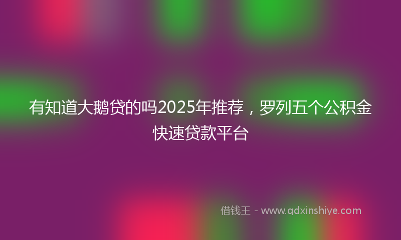 有知道大鹅贷的吗2025年推荐，罗列五个公积金快速贷款平台
