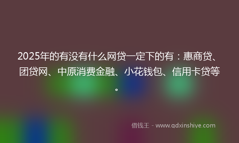 2025年的有没有什么网贷一定下的有：惠商贷、团贷网、中原消费金融、小花钱包、信用卡贷等。