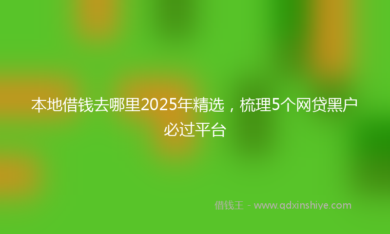 本地借钱去哪里2025年精选，梳理5个网贷黑户必过平台