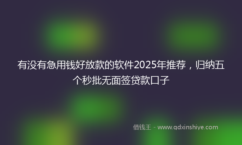 有没有急用钱好放款的软件2025年推荐，归纳五个秒批无面签贷款口子