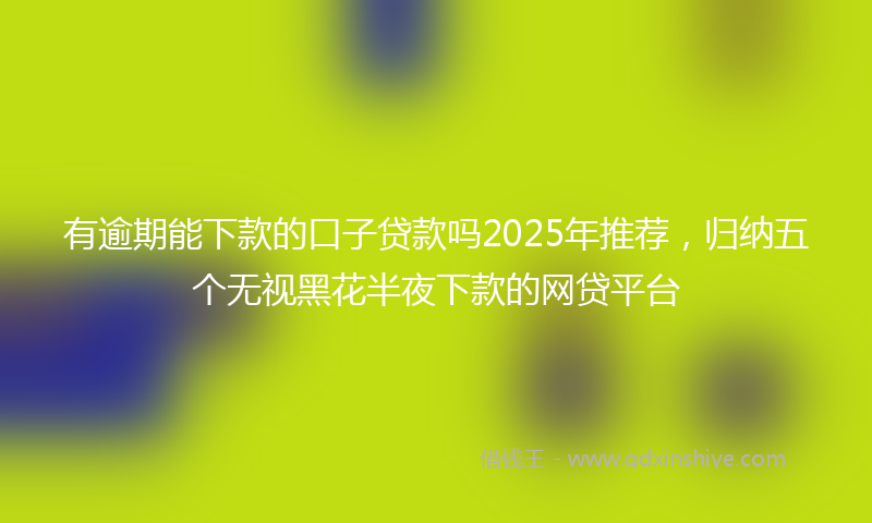 有逾期能下款的口子贷款吗2025年推荐，归纳五个无视黑花半夜下款的网贷平台