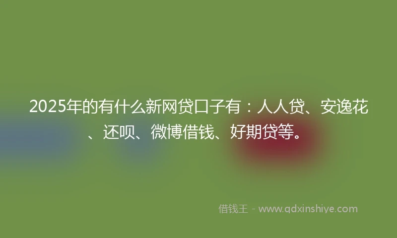 2025年的有什么新网贷口子有：人人贷、安逸花、还呗、微博借钱、好期贷等。