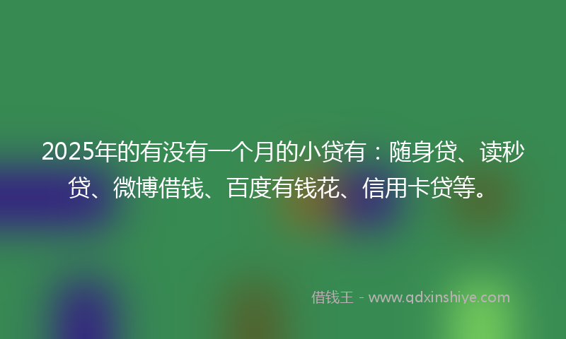 2025年的有没有一个月的小贷有：随身贷、读秒贷、微博借钱、百度有钱花、信用卡贷等。