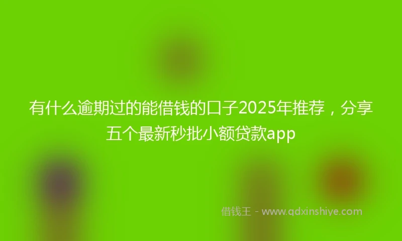 有什么逾期过的能借钱的口子2025年推荐，分享五个最新秒批小额贷款app