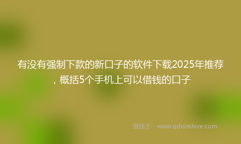 有没有强制下款的新口子的软件下载2025年推荐，概括5个手机上可以借钱的口子