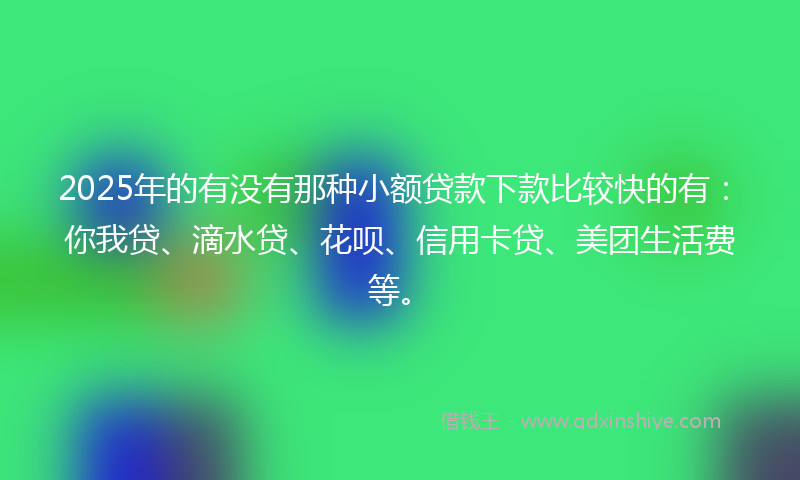 2025年的有没有那种小额贷款下款比较快的有：你我贷、滴水贷、花呗、信用卡贷、美团生活费等。