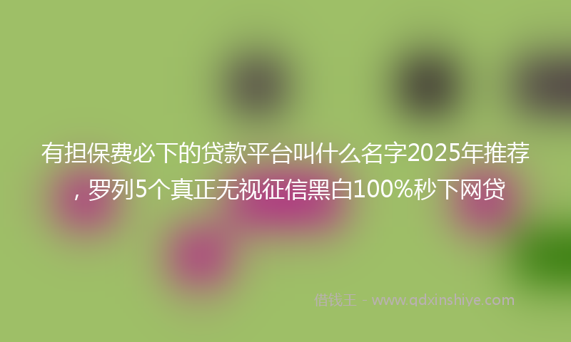 有担保费必下的贷款平台叫什么名字2025年推荐，罗列5个真正无视征信黑白100%秒下网贷