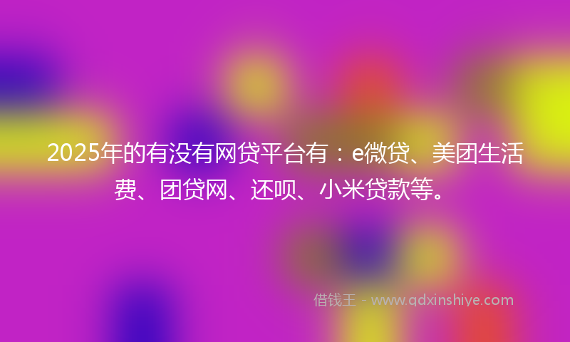 2025年的有没有网贷平台有：e微贷、美团生活费、团贷网、还呗、小米贷款等。
