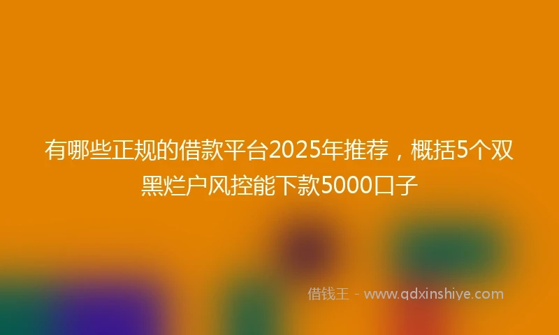 有哪些正规的借款平台2025年推荐,概括5个双黑烂户风控能下款5000口子