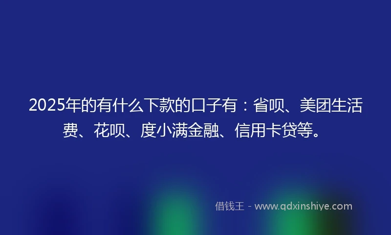 2025年的有什么下款的口子有：省呗、美团生活费、花呗、度小满金融、信用卡贷等。