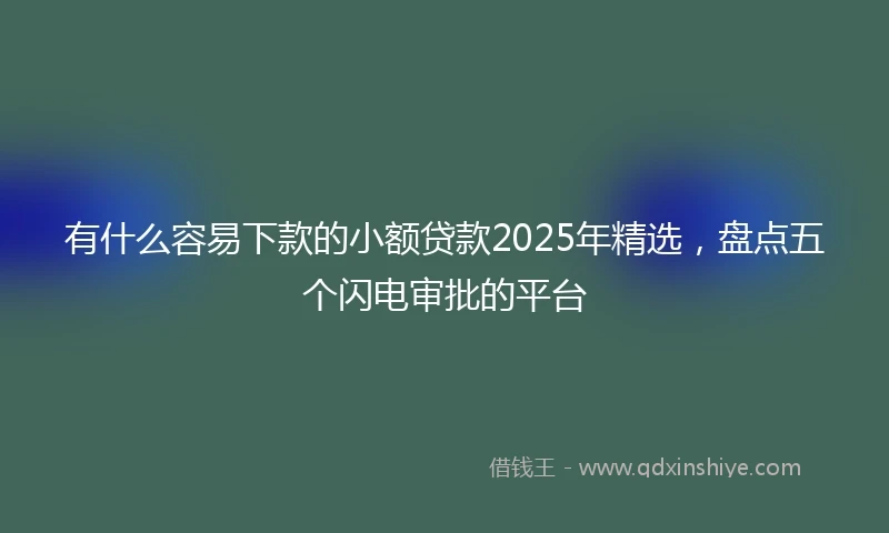 有什么容易下款的小额贷款2025年精选，盘点五个闪电审批的平台