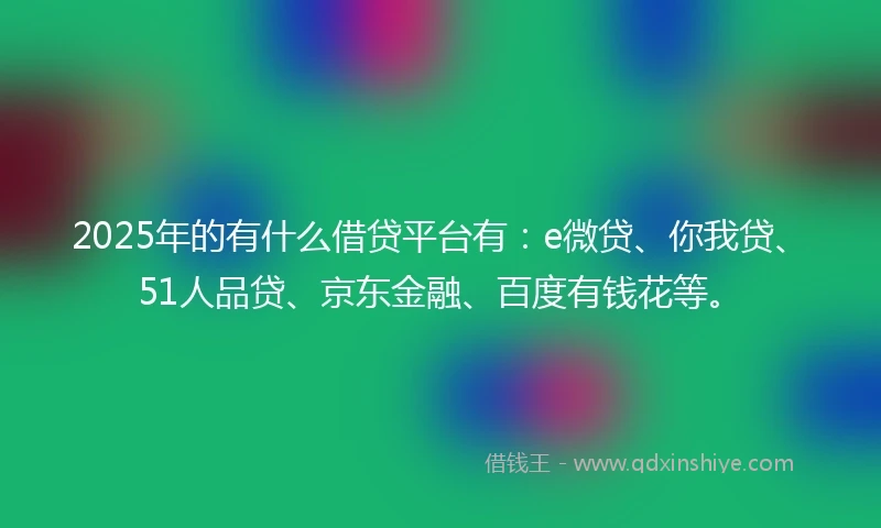2025年的有什么借贷平台有：e微贷、你我贷、51人品贷、京东金融、百度有钱花等。