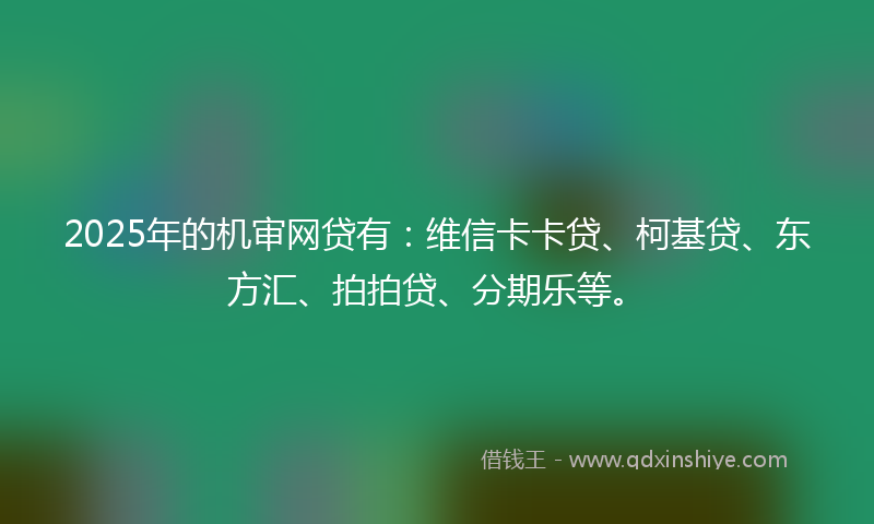 2025年的机审网贷有：维信卡卡贷、柯基贷、东方汇、拍拍贷、分期乐等。