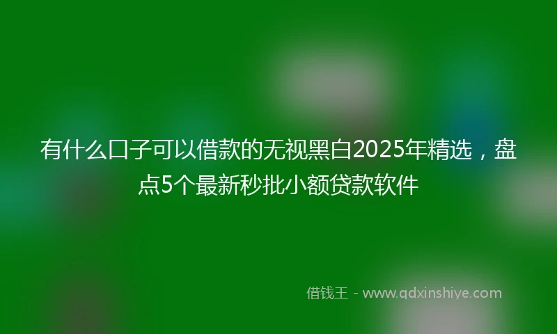 有什么口子可以借款的无视黑白2025年精选，盘点5个最新秒批小额贷款软件