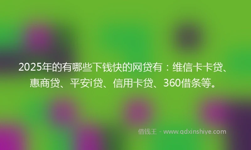 2025年的有哪些下钱快的网贷有：维信卡卡贷、惠商贷、平安i贷、信用卡贷、360借条等。