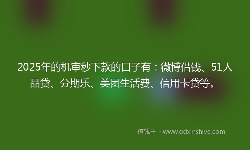 2025年的机审秒下款的口子有：微博借钱、51人品贷、分期乐、美团生活费、信用卡贷等。