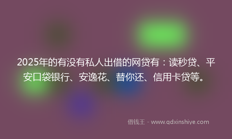 2025年的有没有私人出借的网贷有：读秒贷、平安口袋银行、安逸花、替你还、信用卡贷等。