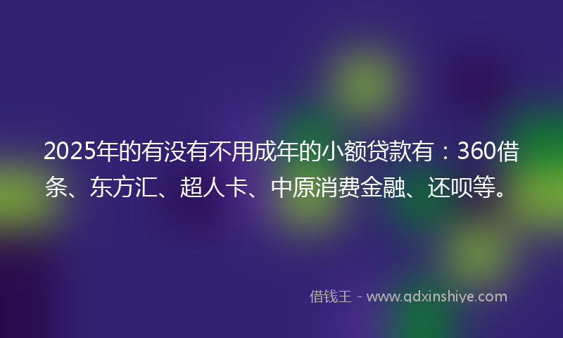 2025年的有没有不用成年的小额贷款有：360借条、东方汇、超人卡、中原消费金融、还呗等。