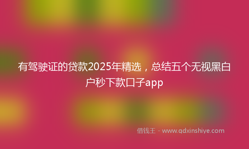 有驾驶证的贷款2025年精选，总结五个无视黑白户秒下款口子app