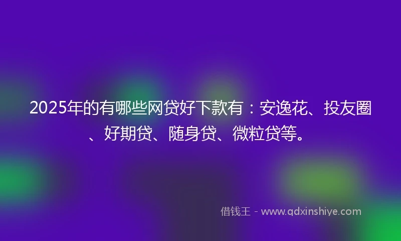 2025年的有哪些网贷好下款有：安逸花、投友圈、好期贷、随身贷、微粒贷等。