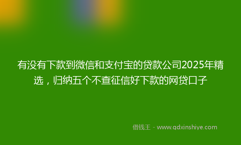 有没有下款到微信和支付宝的贷款公司2025年精选，归纳五个不查征信好下款的网贷口子