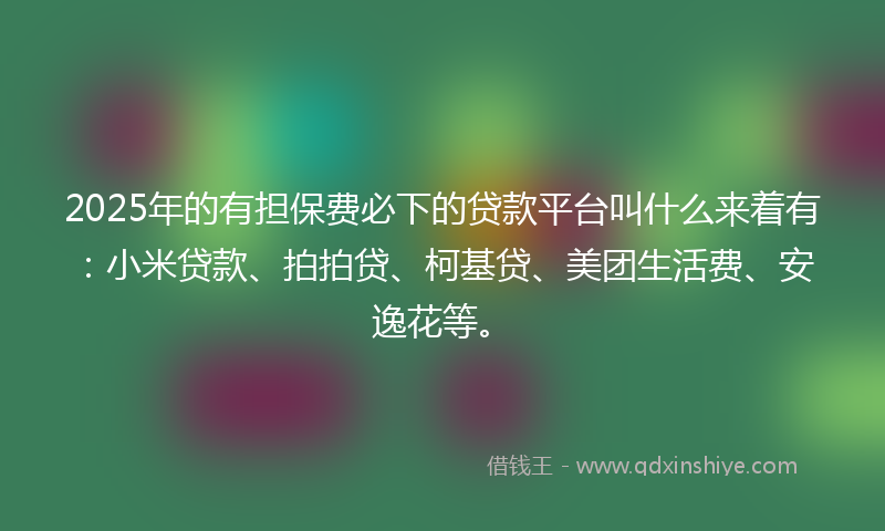 2025年的有担保费必下的贷款平台叫什么来着有：小米贷款、拍拍贷、柯基贷、美团生活费、安逸花等。