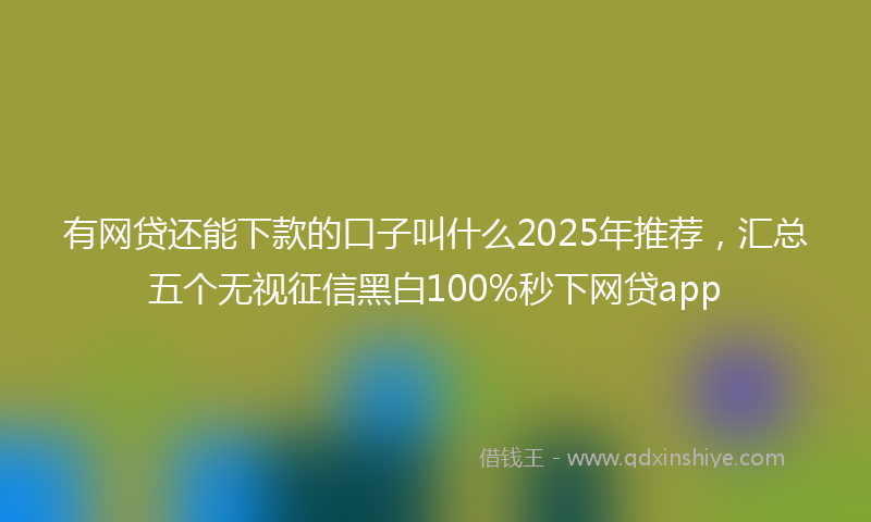 有网贷还能下款的口子叫什么2025年推荐，汇总五个无视征信黑白100%秒下网贷app