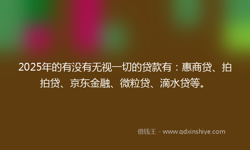 2025年的有没有无视一切的贷款有：惠商贷、拍拍贷、京东金融、微粒贷、滴水贷等。