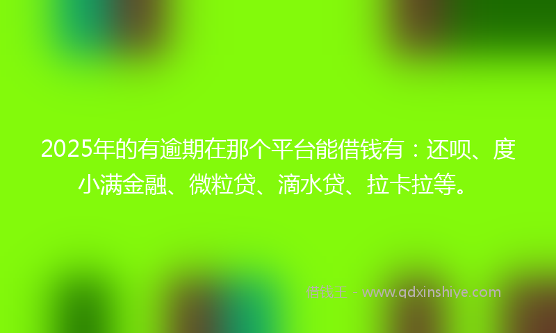 2025年的有逾期在那个平台能借钱有：还呗、度小满金融、微粒贷、滴水贷、拉卡拉等。
