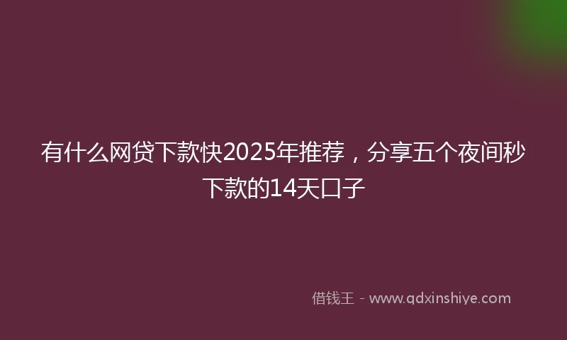 有什么网贷下款快2025年推荐，分享五个夜间秒下款的14天口子