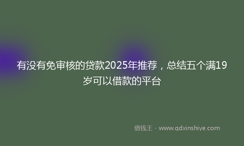 有没有免审核的贷款2025年推荐，总结五个满19岁可以借款的平台