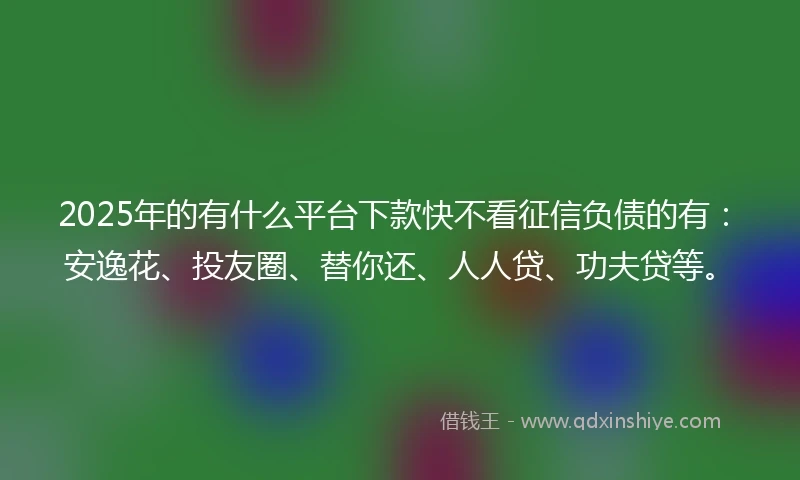 2025年的有什么平台下款快不看征信负债的有：安逸花、投友圈、替你还、人人贷、功夫贷等。