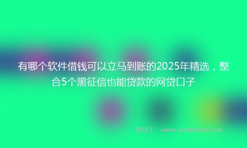 有哪个软件借钱可以立马到账的2025年精选，整合5个黑征信也能贷款的网贷口子