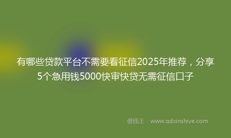 有哪些贷款平台不需要看征信2025年推荐，分享5个急用钱5000快审快贷无需征信口子