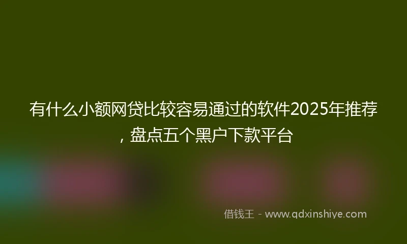 有什么小额网贷比较容易通过的软件2025年推荐，盘点五个黑户下款平台
