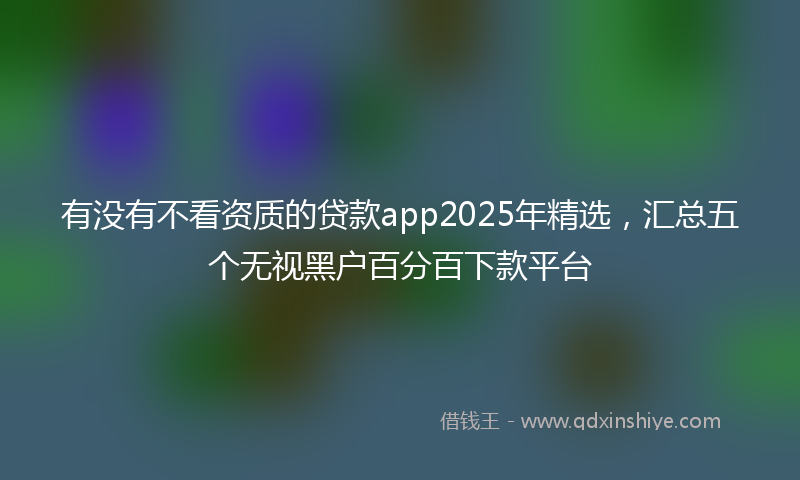 有没有不看资质的贷款app2025年精选，汇总五个无视黑户百分百下款平台